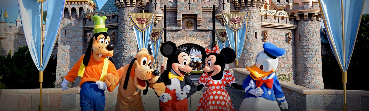 Five Disneyland Characters On a Banner